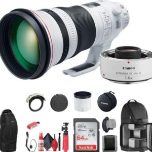 Canon EF 400mm f/2.8L IS III USM lens
